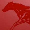 Horse Business Card