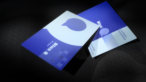 Slim Plastic Business Card