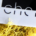 Chelfoto Business Card