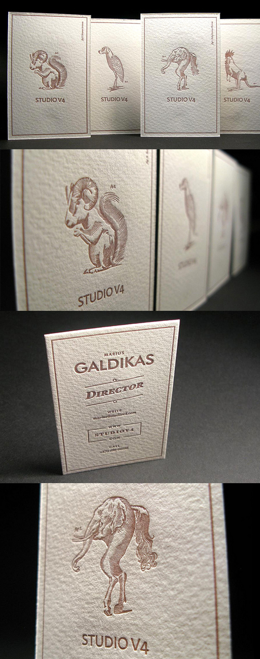 Beautifully Illustrated Antique Engraving Styled Letterpress Business Card