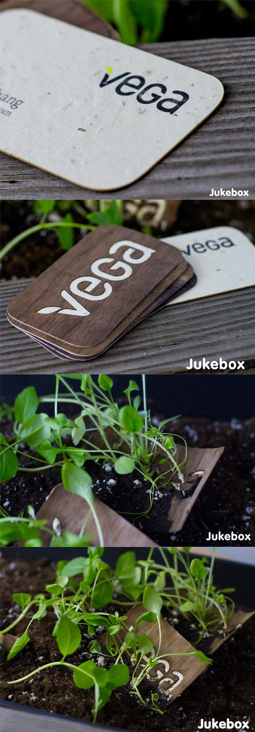 Unique Seeded Business Cards Grow Real Plants